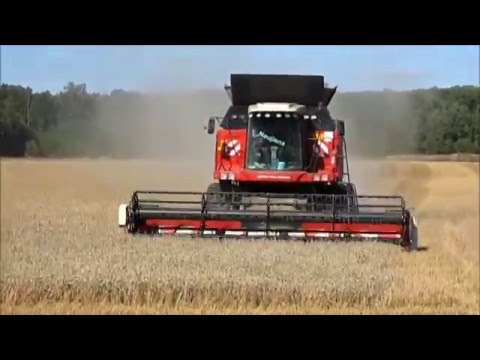 Комбайны РОСТСЕЛЬМАШ.   VIDEO HD.