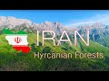 Beautiful hyrcanian forests along the caspian sea  mazandaran