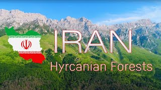 Beautiful Hyrcanian forests along the Caspian sea - Mazandaran screenshot 3