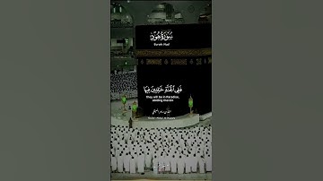 ﴿وَأَمَّا الَّذينَ سُعِدوا فَفِي الجَنَّةِ..}تلاوة خاشعة من سورة هود الشيخ#ماهر_المعيقلي