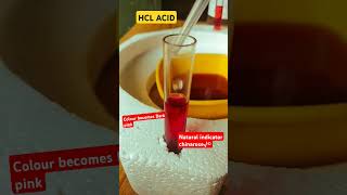 HCl converts color into Dark Pink @INDIANAFAMES
