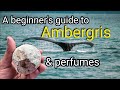 Ambergris in perfumes | A Beginner's Guide