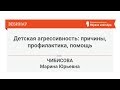 Детская агрессивность: причины, профилактика, помощь