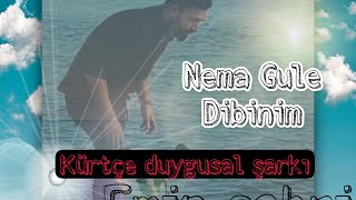 nema gule dibinim  Metin Sönmez #2022 #muzikakurdi #gule #kürtçemüzik #duygusal Resimi