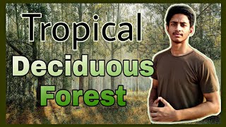 Tropical Deciduous Forests in hindi | forest in hindi | deciduous forest geography