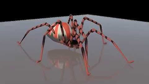 Walk Cycle: animated spider
