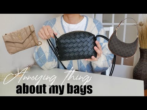 Bottega Veneta loop bag mini review – Bay Area Fashionista