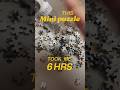 This MINI puzzle took me 6 HOURS ✿ May’s #craft-w-xm #puzzle #3coins