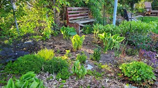 Early May Garden Tour, Minnesota Zone 5a