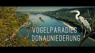 Hron 3.Teil - Natur- und Vogelparadies "Donauniederung - Podunajská nížina" - Flußwanderung Slowakei