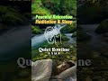 Natural Flowing Water Sounds 🌿 Peaceful Relaxation, Meditation & Sleep