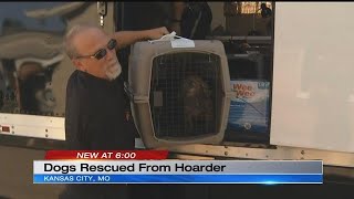Wayside Waifs takes in group of 10 dogs rescued from hoarder