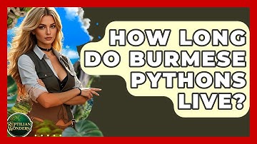 How Long Do Burmese Pythons Live? - Reptilian Wonders