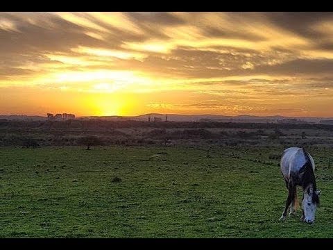 camera iphone 8 plus apk Expo Prado 2018