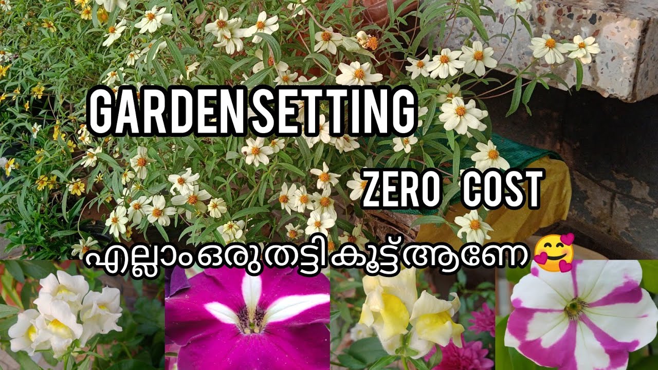 Garden എങ്ങനെ എല്ലാം മനോഹരം ആകാം 