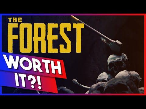 Wideo: Czy powinienem przenieść się do lasu?