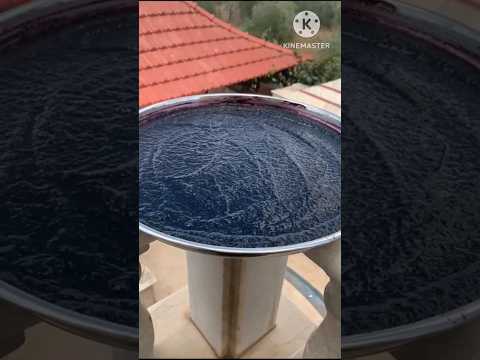 مربى التوت عالشمس الوصفة كاملة عالقناة