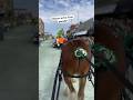 Sneak peek oliver at the parade shorts clydesdale rescue horse transformation parade