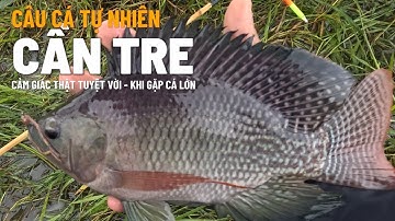 Trở Lại Với Chất Mộc Mạc: Trải Nghiệm Câu Cá Không Công Nghệ | Pure & Simple: No-Tech Fishing ! EP57