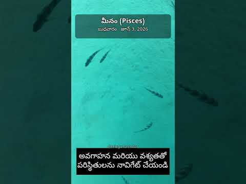 మీనం