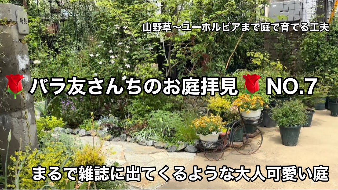 花かごリース✿ミスティローズガーデン Exploring Rose Gardens Nationwide: Shiki no Ka Rose Garden 2025