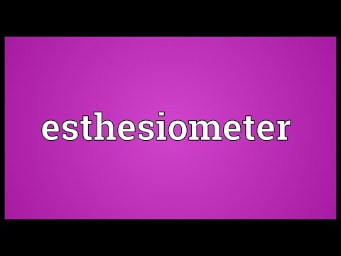 Header of esthesiometer