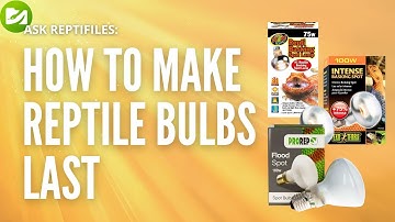 How to Make Reptile Heat Bulbs Last Longer