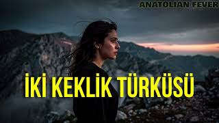 İki̇ Kekli̇k Bi̇r Kayada Ötüyor Psychedelic Anatolian Rock Cover