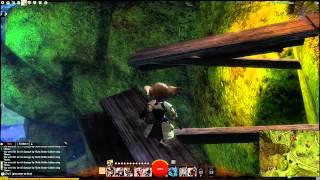 Guild Wars 2: Caledon Forest Vista - Ruins Of The Unseen