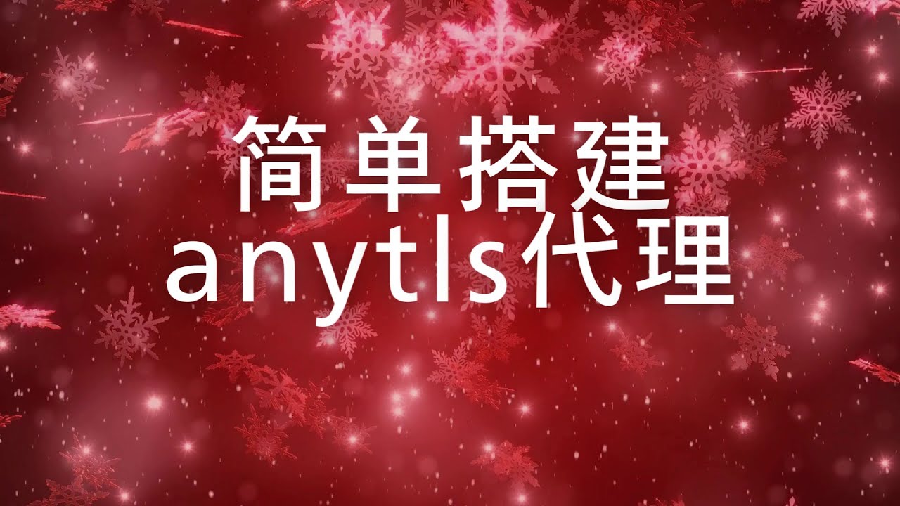 简单搭建anytls代理