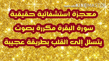 سورة البقرة مكررة 8 ساعات بصوت سريع بصوت الغريب الموصلي/ بصوت رائع وجميل /