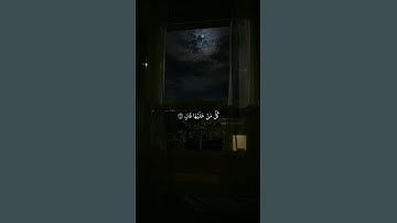 كُلُّ مَنْ عَلَيْهَا فَانٍ  #ياسر_الدوسري #سورة_الرحمن #قرآن #تلاوة #صوت_الخشوع