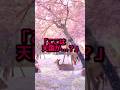 日本の奈良公園で撮影された光景に世界が感動の涙 #海外の反応