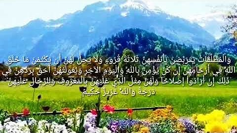 حالات واتس أب دينية بصوت القارى فارس عباد سورة البقرة 360P