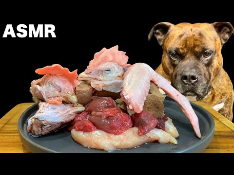 【大食い犬ASMR】ママ特製デカ盛り生肉を爆食いする愛犬 MUKBANG Dog eats raw meat bones
