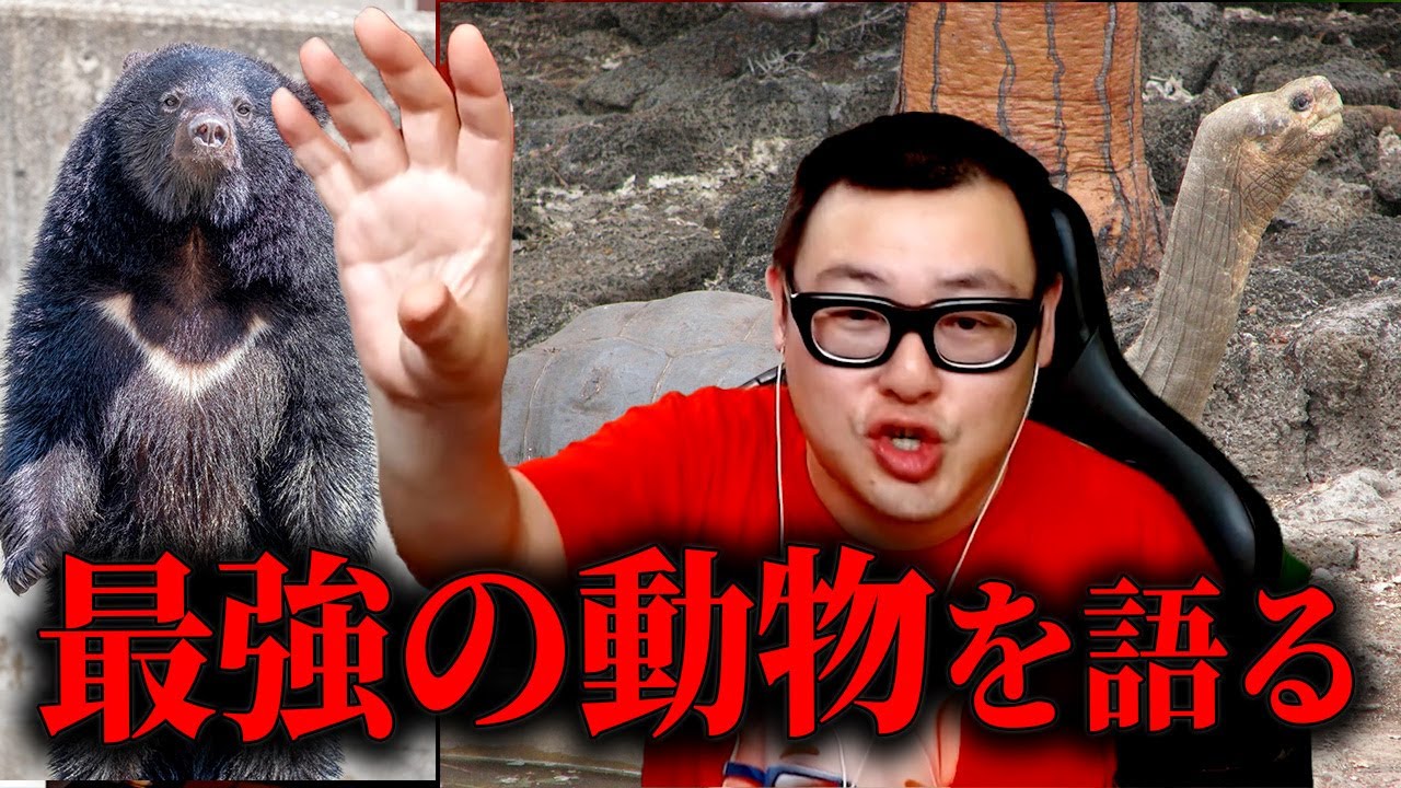 【雑学】強すぎる動物とアホすぎる動物を語ろう【石川典行】