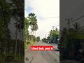 Jl.cok rai pudak.ubud bali.##shorts #automobile #travel #infojalanjalan #trendingshorts