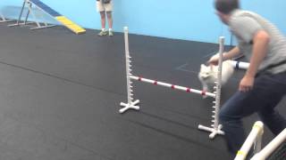 Nova Intermediate Agility 2 - Week 6
