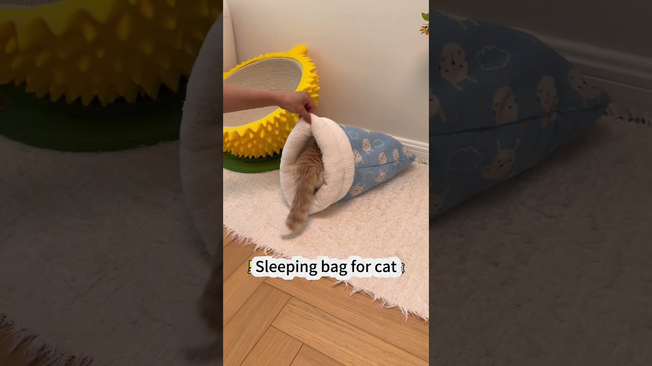 Cat sleeping bag 