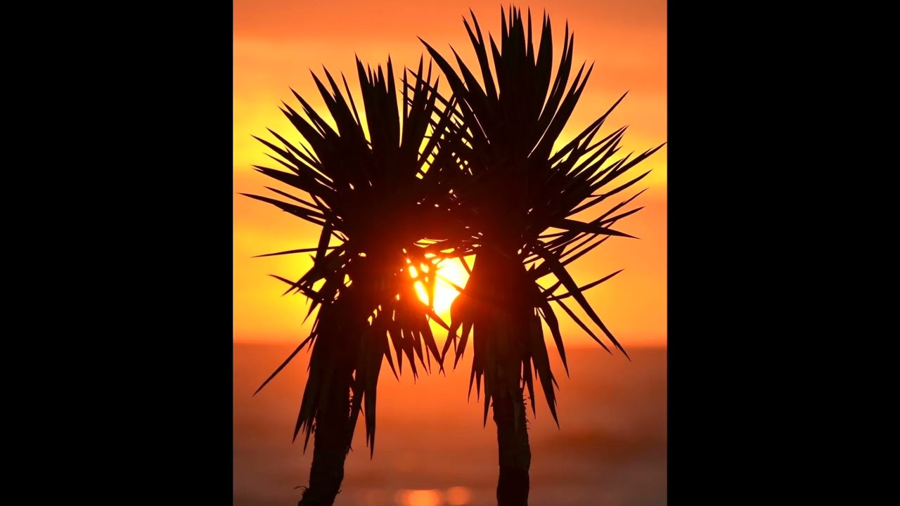 (FREE) Trap Reggae Dub Type Beat "Deep Vibes" (prod. Ludwigvandub)