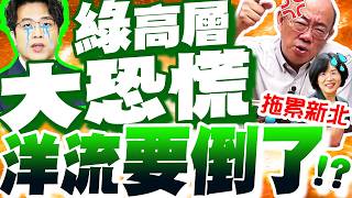 洋流反噬!?驚曝綠高層嗅到