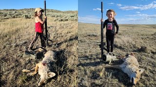 4 Year Old Girl Drops Two Coyotes With AR-15 Suppressed And Red Dot