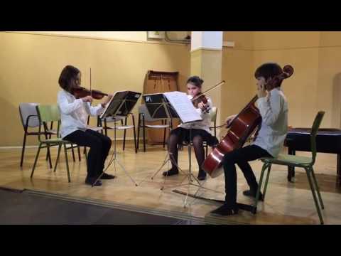 Concierto 2 violines i un cello