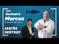 MARCUS DANTUS Ofrece acciones de su empresa 🦈 +15% Dividendos