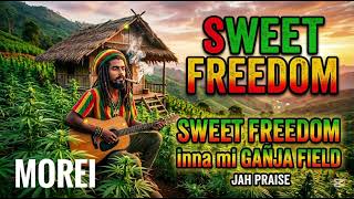 MOREI - The Paradise Hut | Relaxing Roots Reggae &amp; Dub Vibration 2026