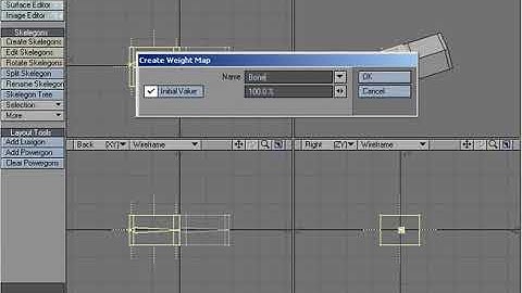 LightWave 8 Rotate Skelegons Tool