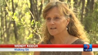Channel 7 news: Crafers and Waterfall Gully to Mt Lofty Trails - comment by WalkingSA