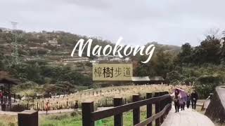 從貓空爬到新店？！-新北景點「銀河洞」