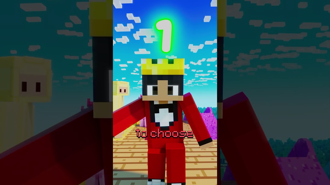 Don't Choose The Wrong Slide In Minecraft!