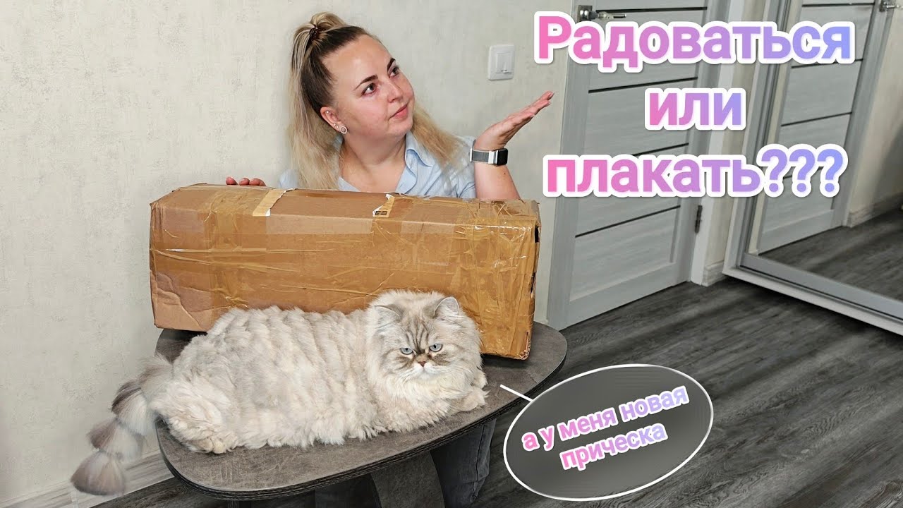 ПОСЫЛКА ШЛА 18 ДНЕЙ😱Как перенесли такую долгую доставку алоказии? Больше не отправляю растения!